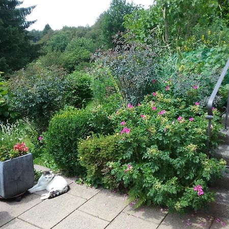 Perlenbachtal Apartment Monschau Ngoại thất bức ảnh