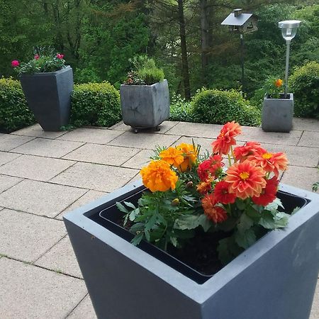 Perlenbachtal Apartment Monschau Ngoại thất bức ảnh