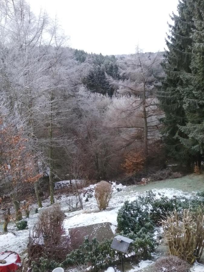 Perlenbachtal Apartment Monschau Ngoại thất bức ảnh