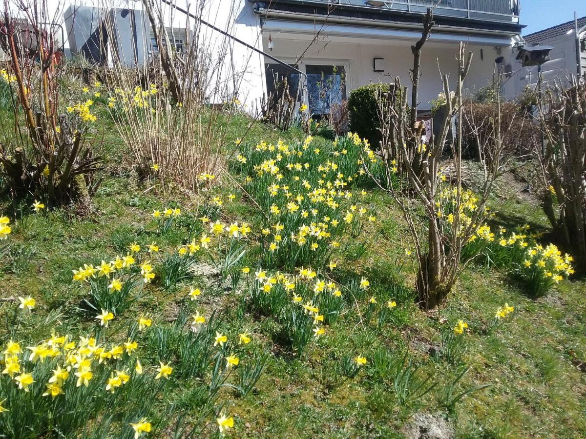 Perlenbachtal Apartment Monschau Ngoại thất bức ảnh