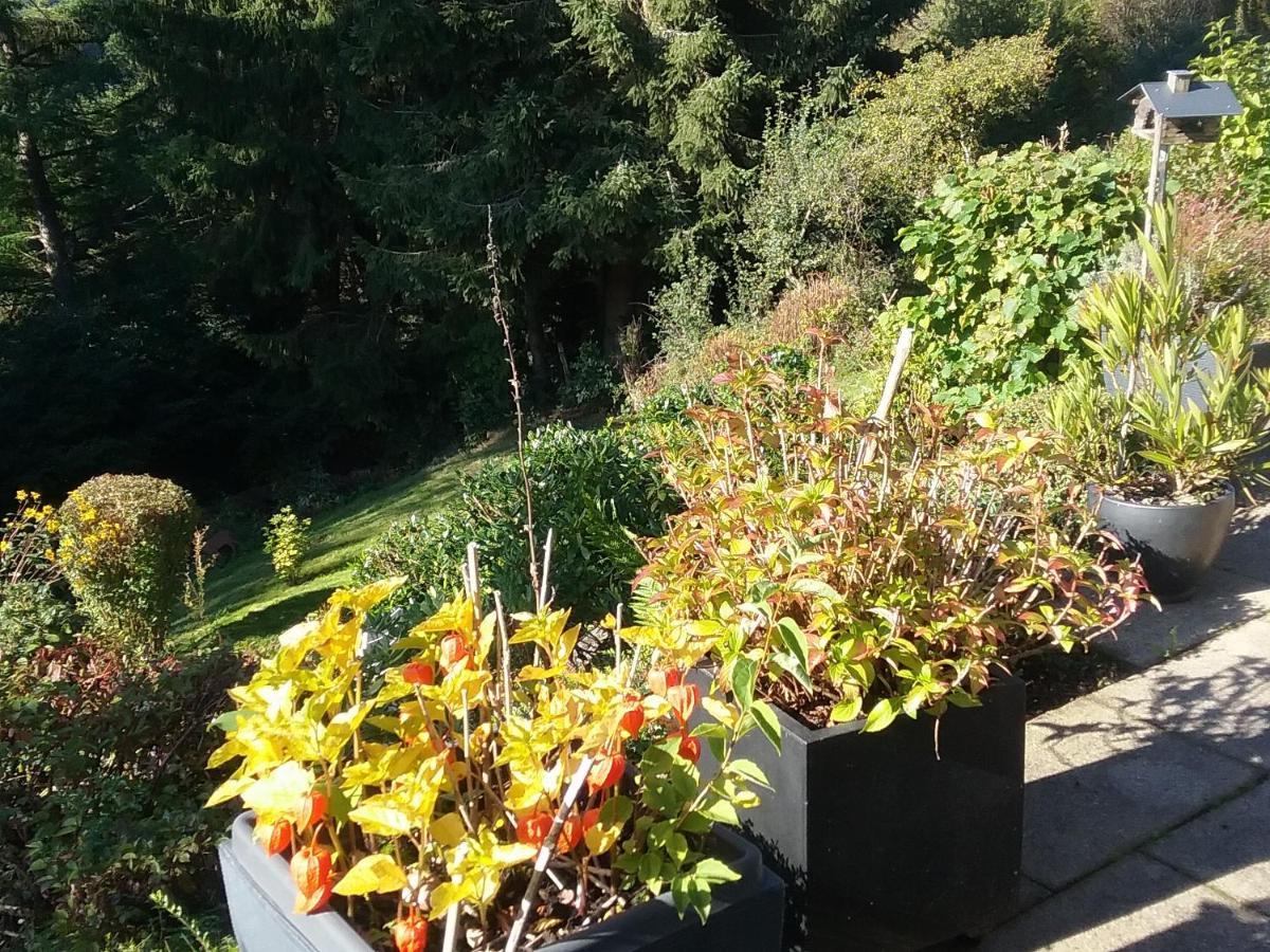 Perlenbachtal Apartment Monschau Ngoại thất bức ảnh