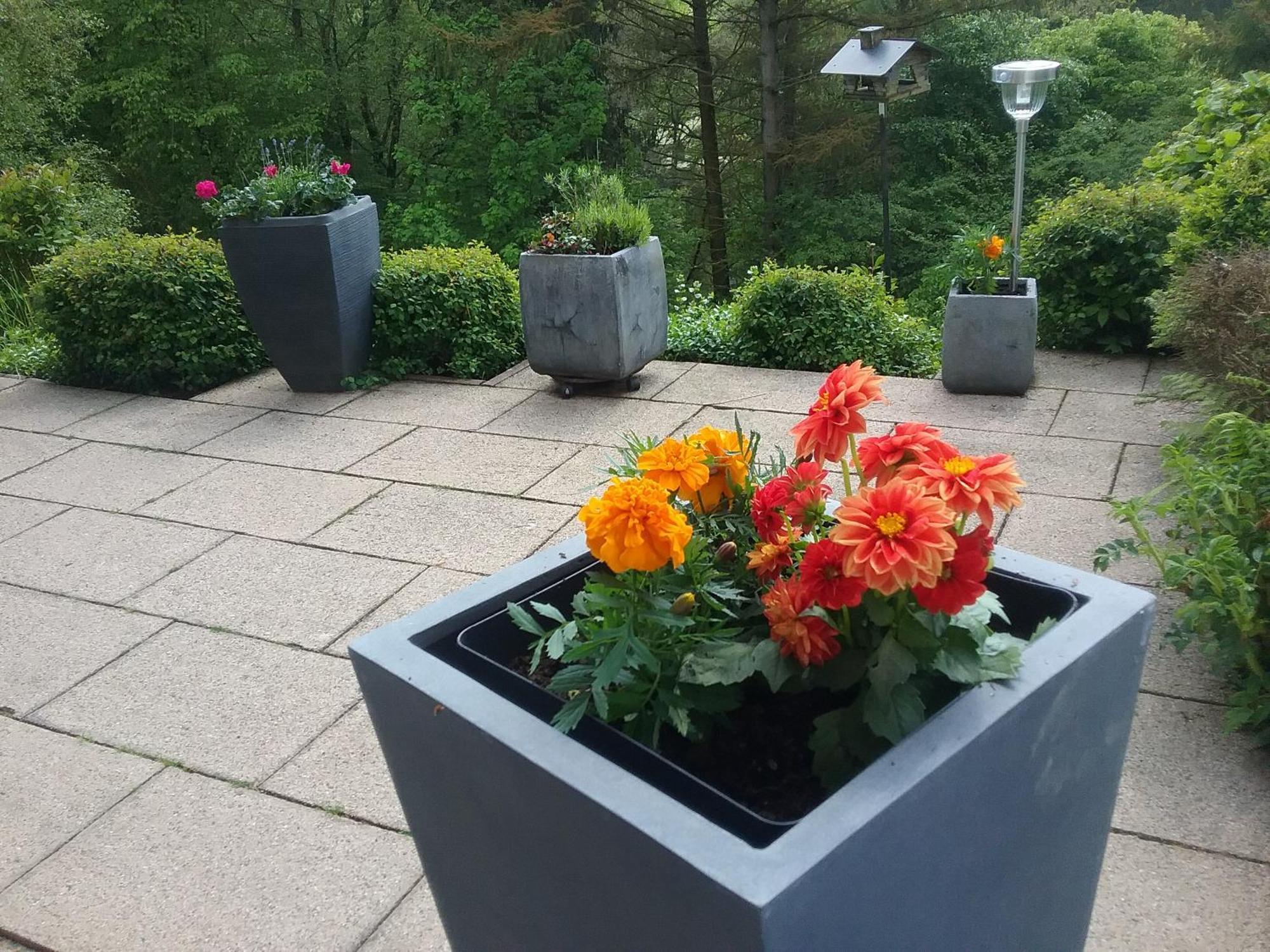 Perlenbachtal Apartment Monschau Ngoại thất bức ảnh