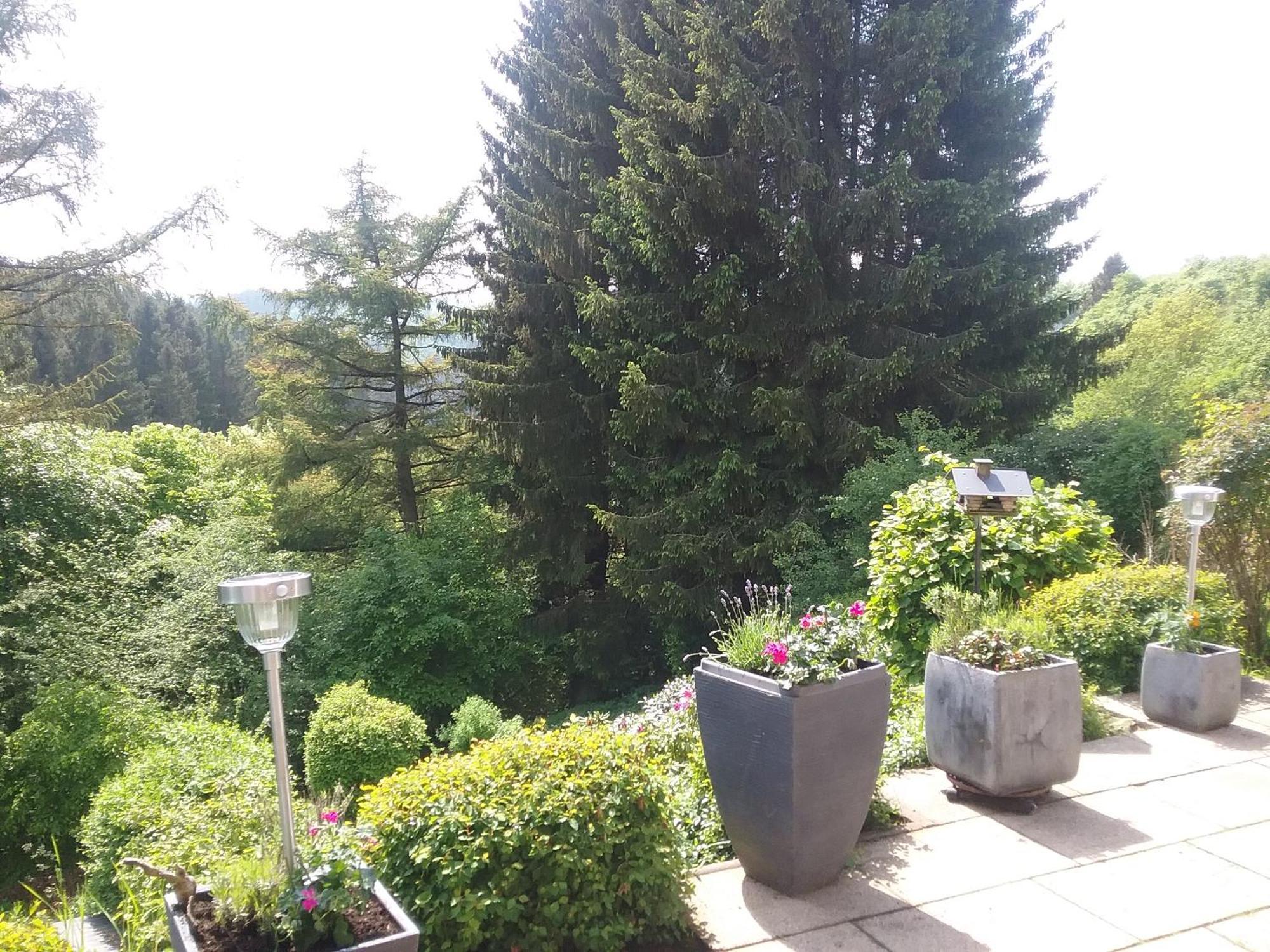 Perlenbachtal Apartment Monschau Ngoại thất bức ảnh